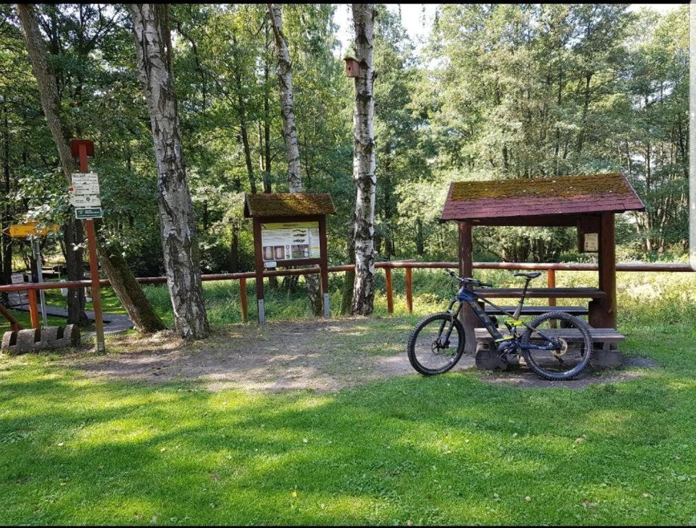 Landgasthof Gruener Baum Regnitzlosau Zewnętrze zdjęcie