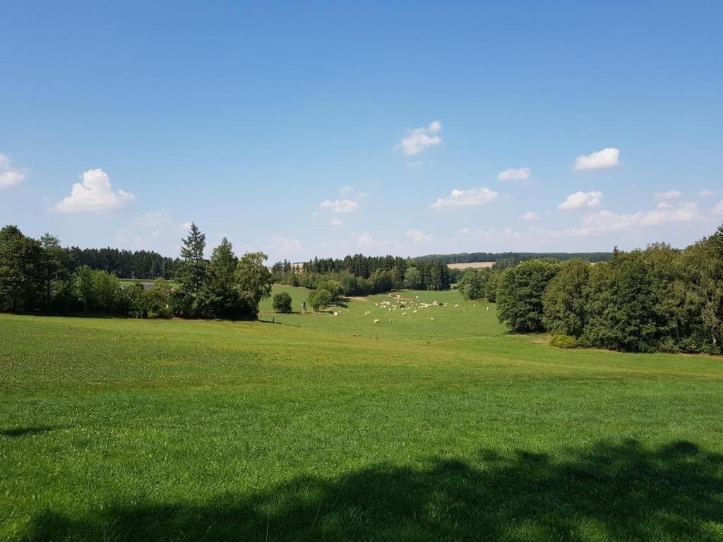 Landgasthof Gruener Baum Regnitzlosau Zewnętrze zdjęcie